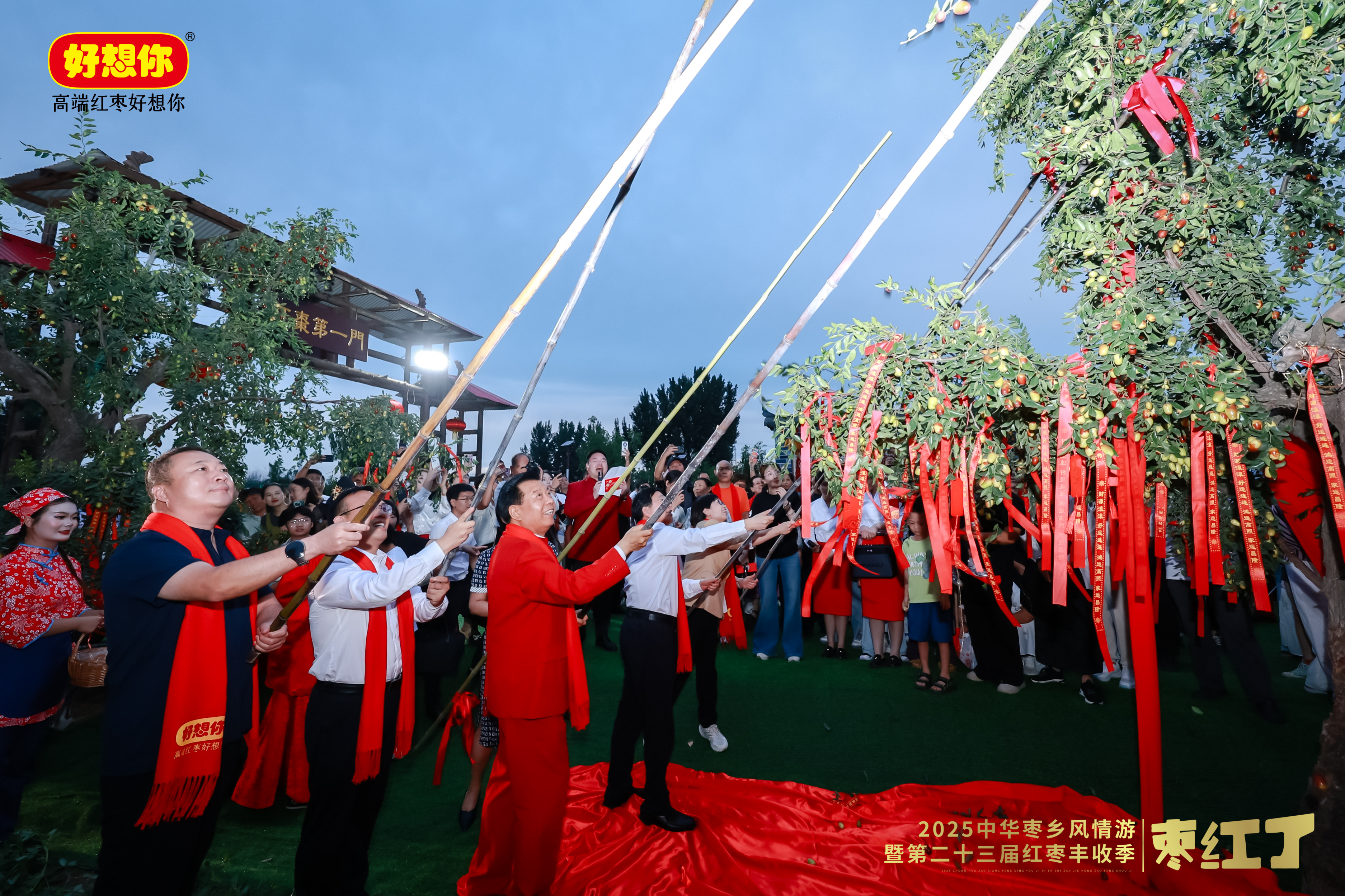 打棗3.jpg 打棗3.jpg